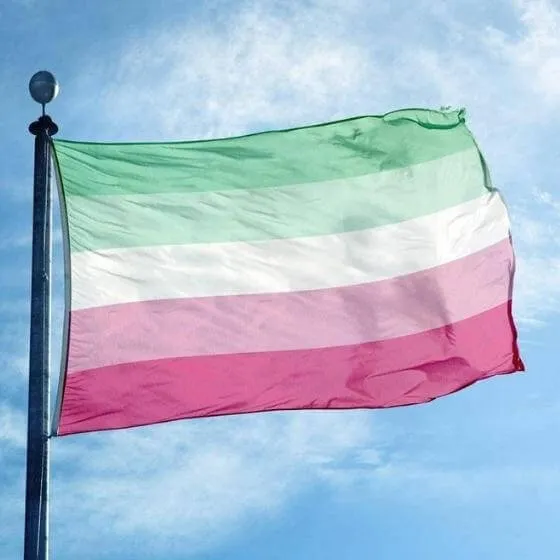 Abrosexual Pride Flag