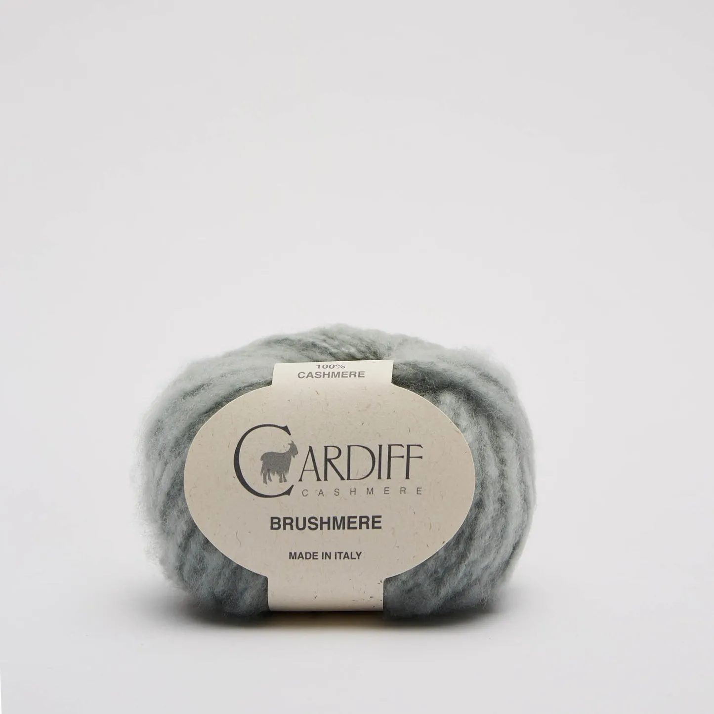 Cardiff BRUSHMERE