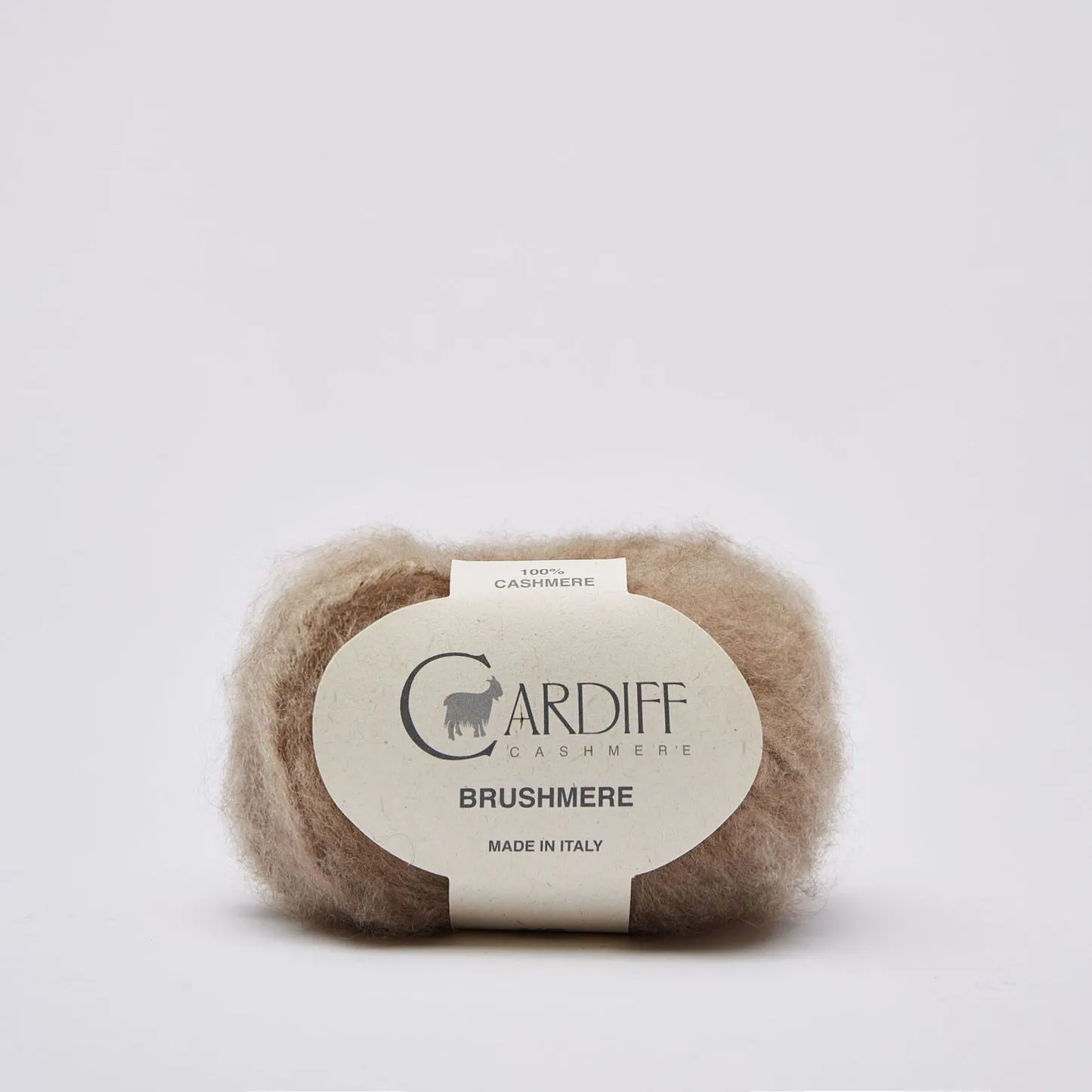 Cardiff BRUSHMERE