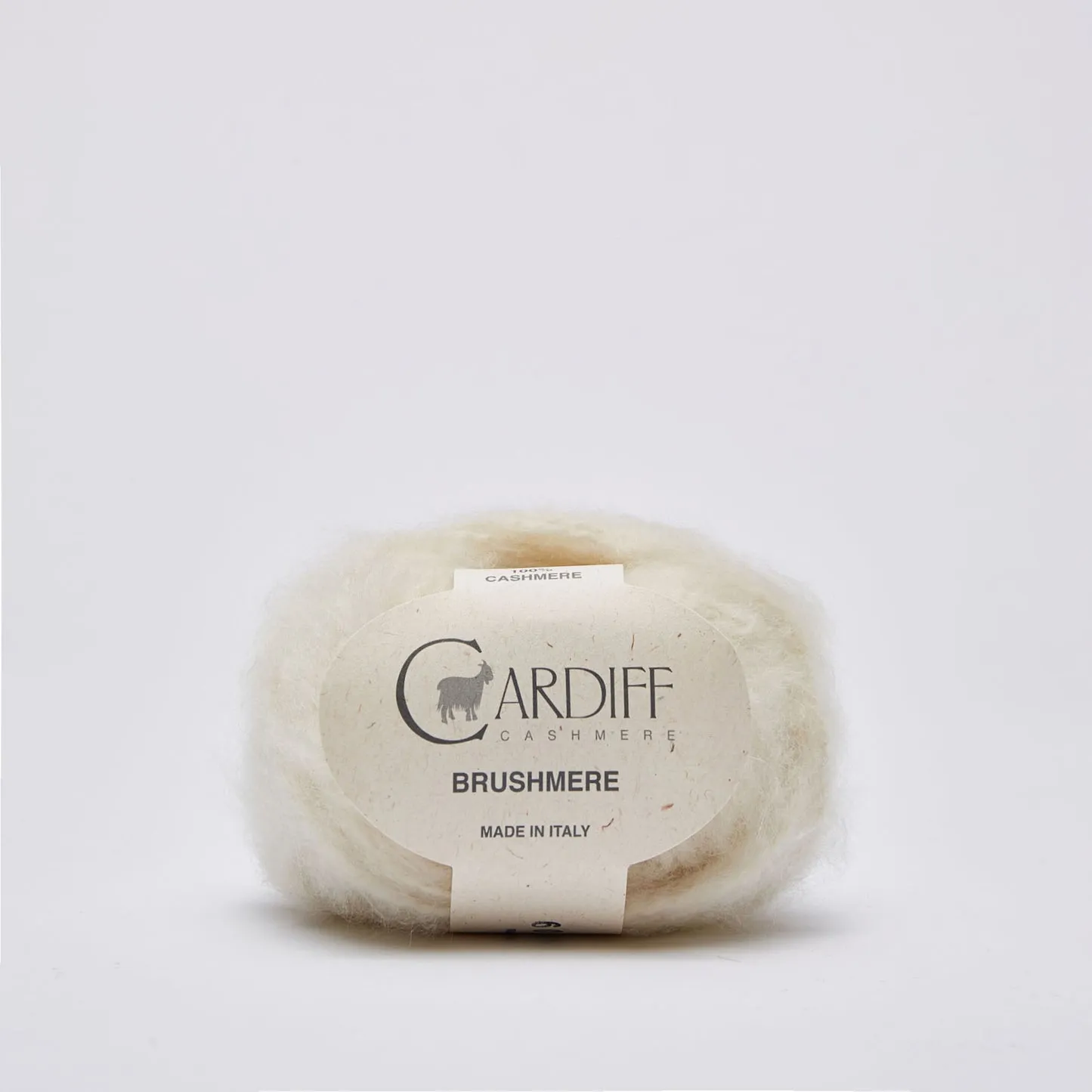 Cardiff BRUSHMERE