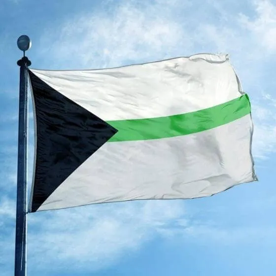 Demiromantic Pride Flag