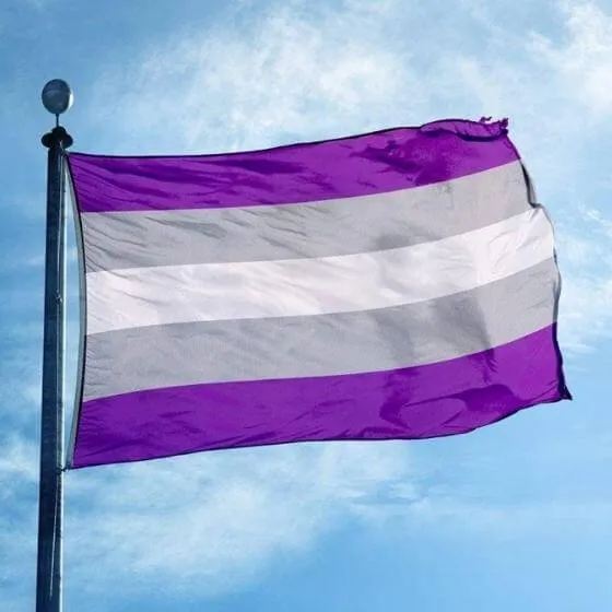 Graysexual Gray-Ace Pride Flag