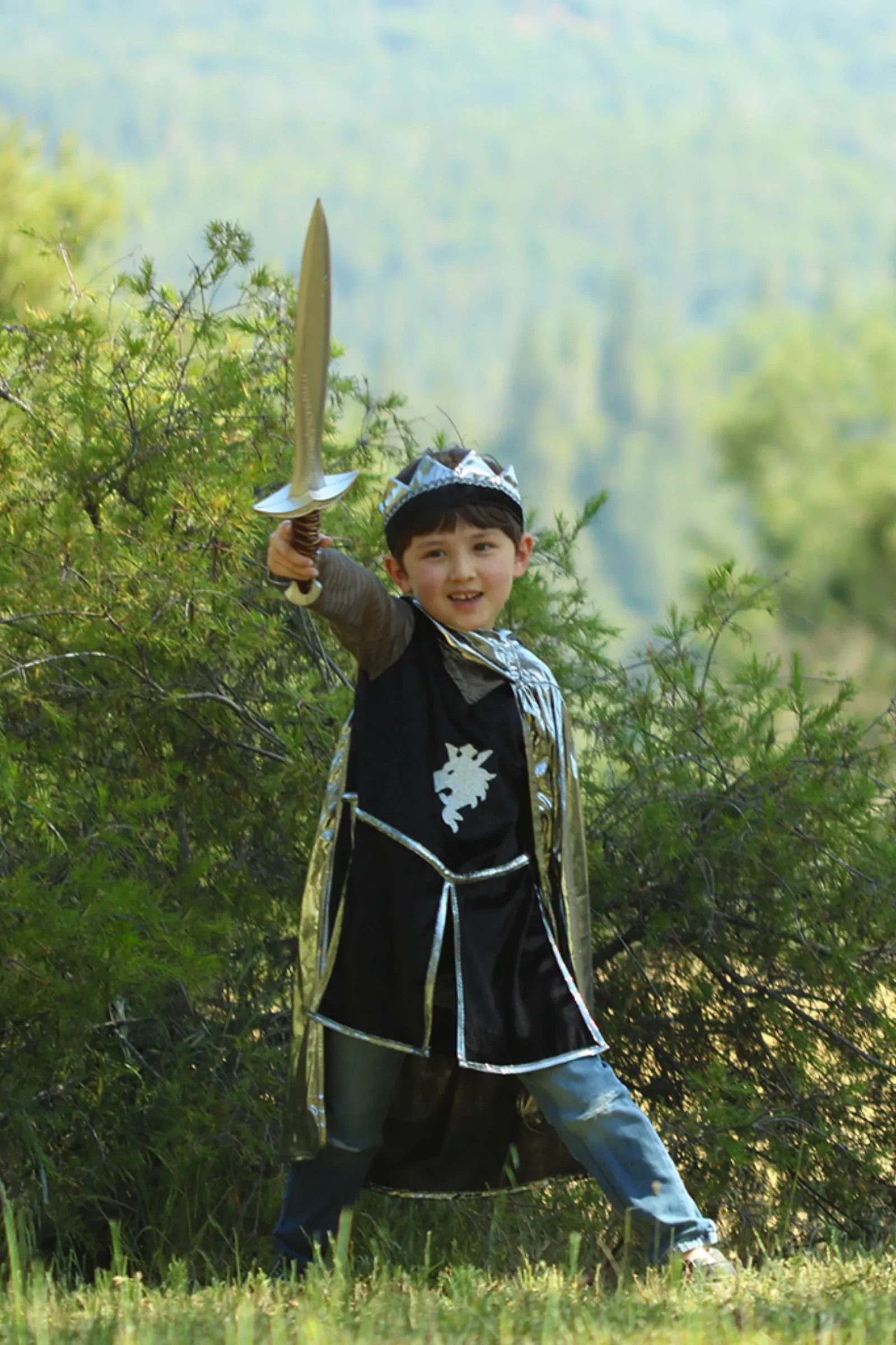 Great Pretenders Silver Knight Set with Tunic, Cape & Crown size 5/6