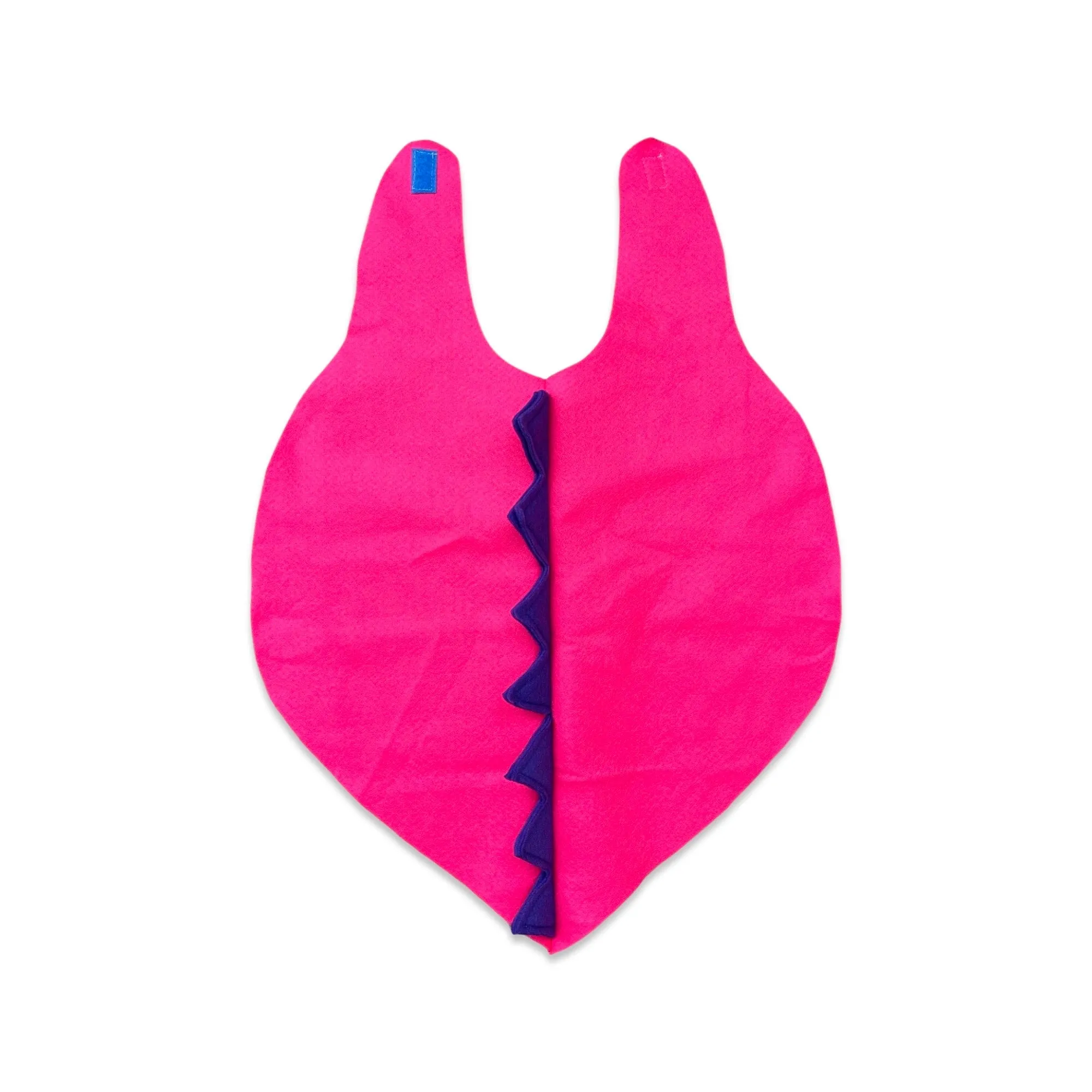 Kids Dinosaur Cape, Kids Halloween Costume