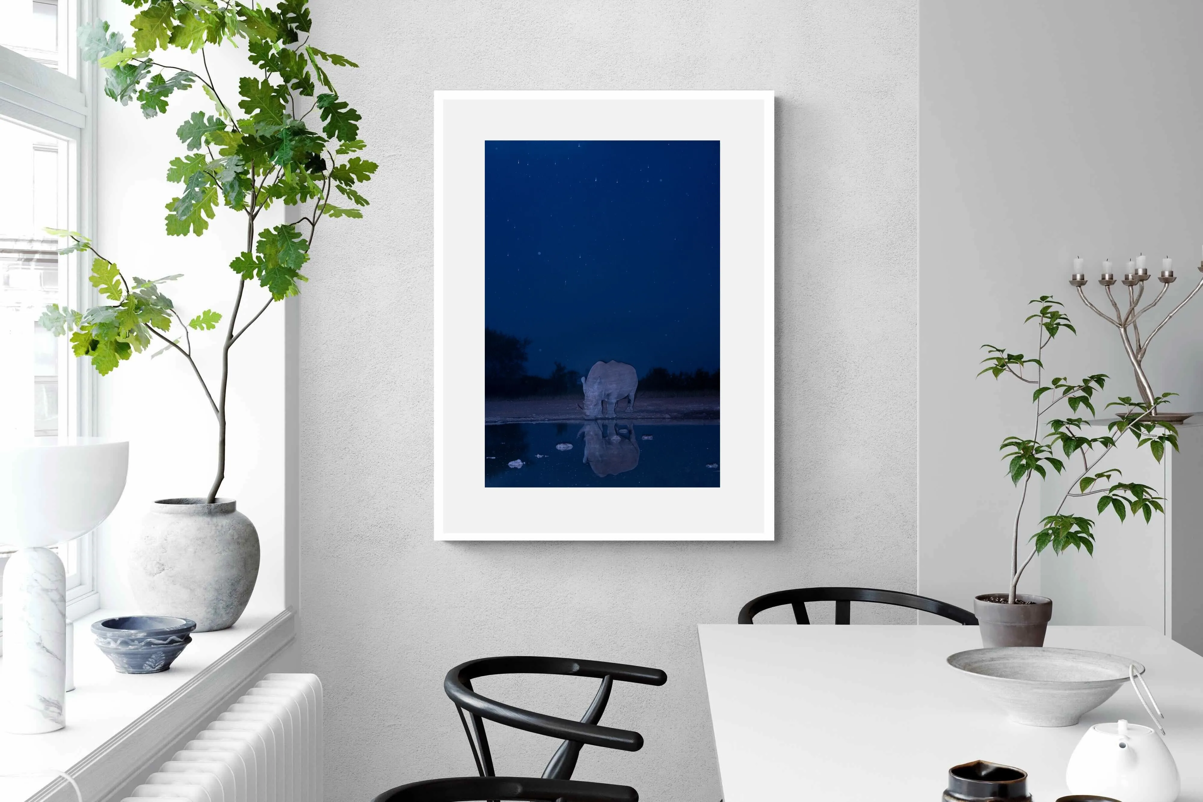 Nocturnal Reflections