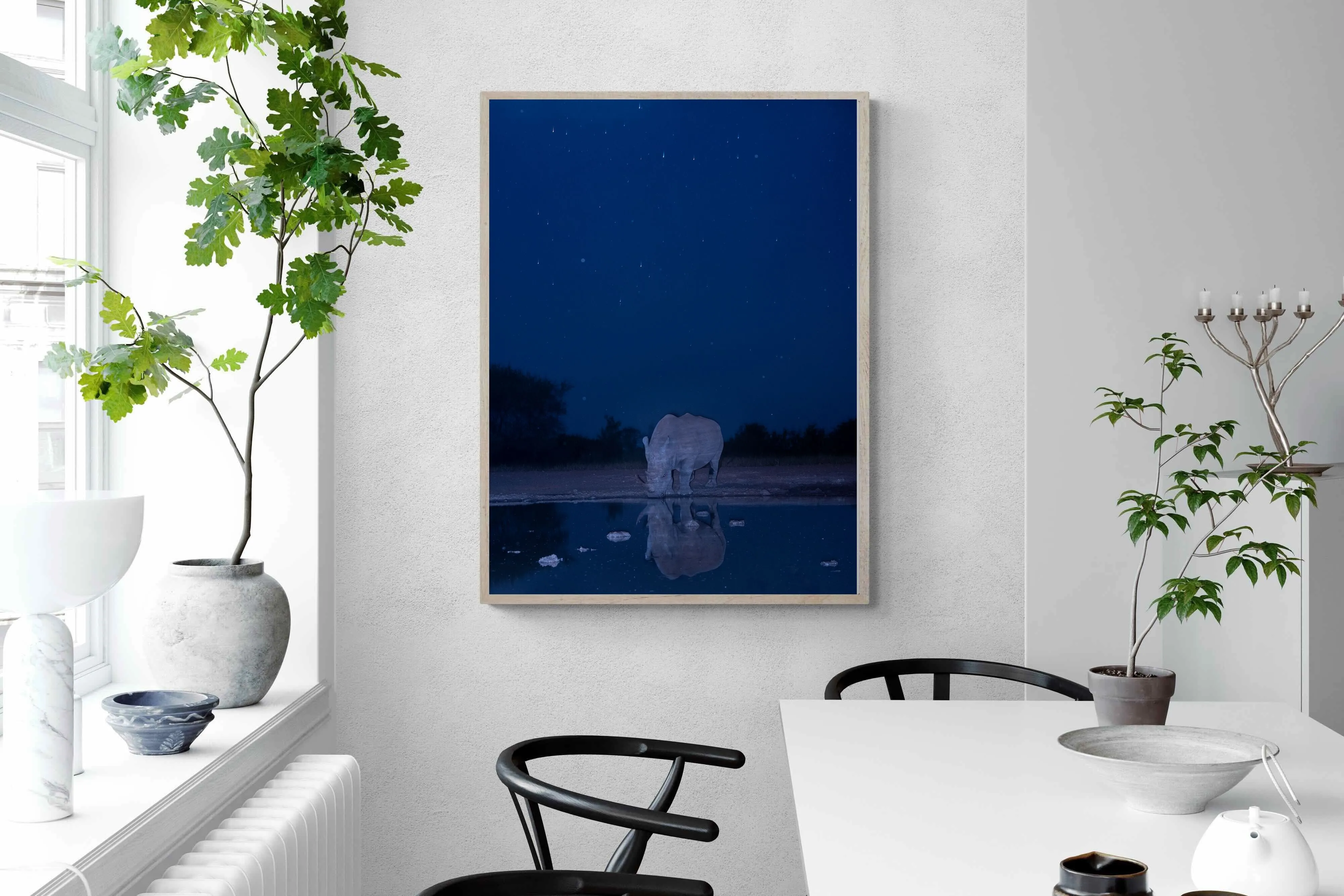 Nocturnal Reflections