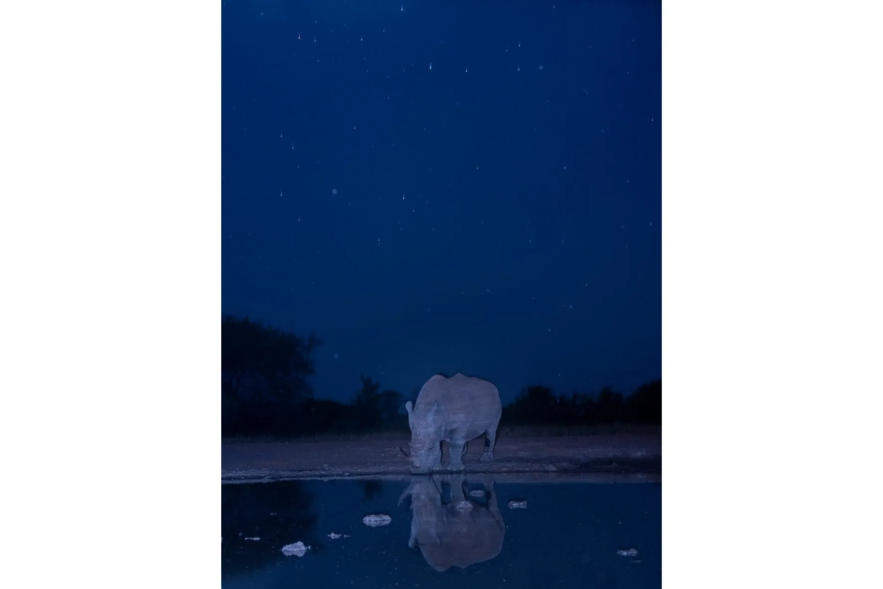 Nocturnal Reflections