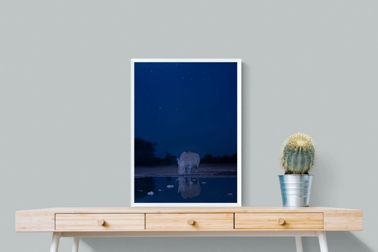 Nocturnal Reflections