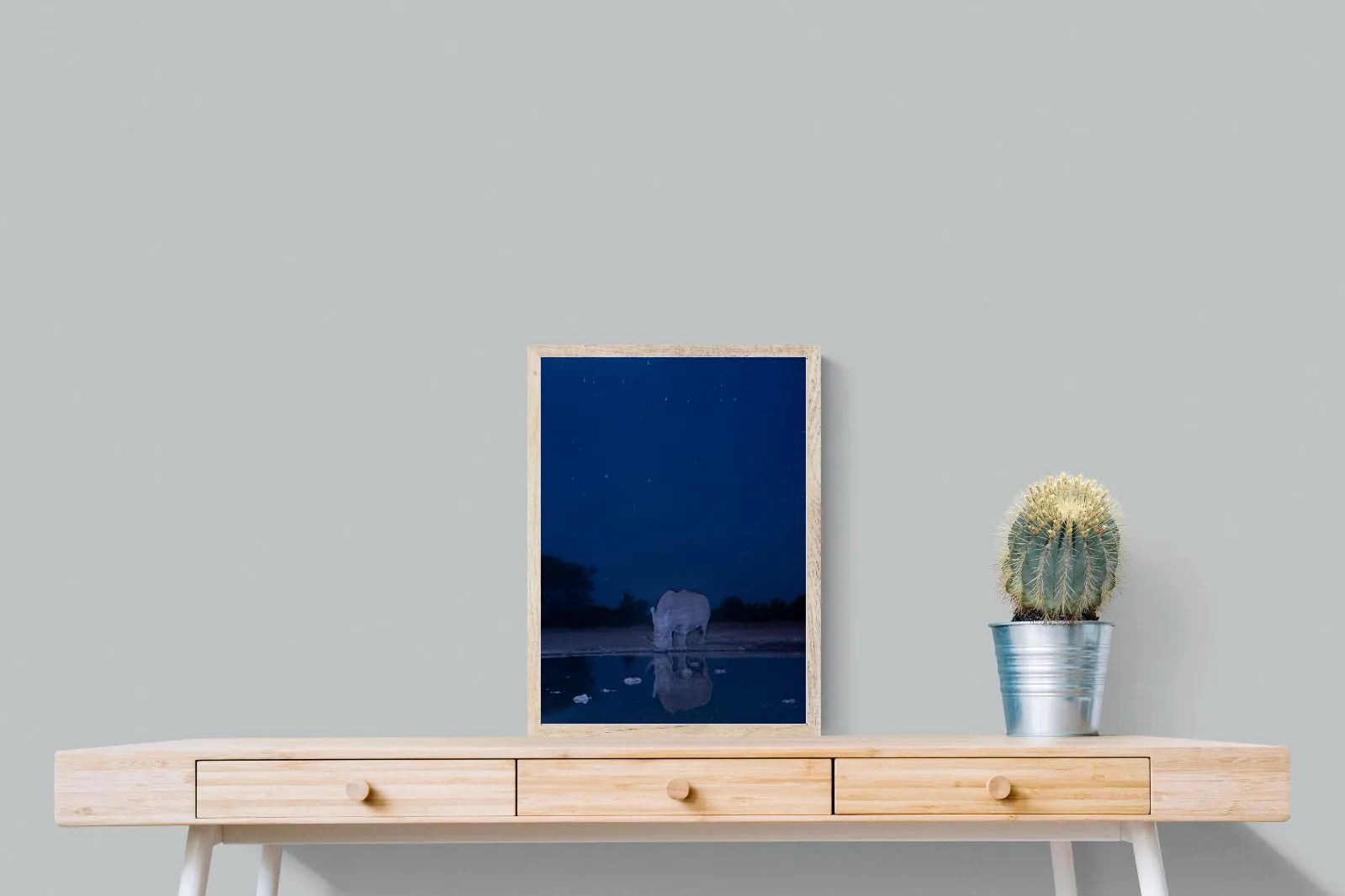 Nocturnal Reflections