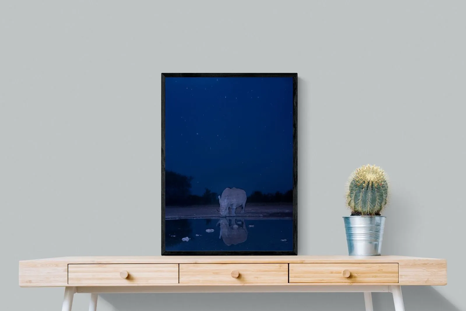 Nocturnal Reflections