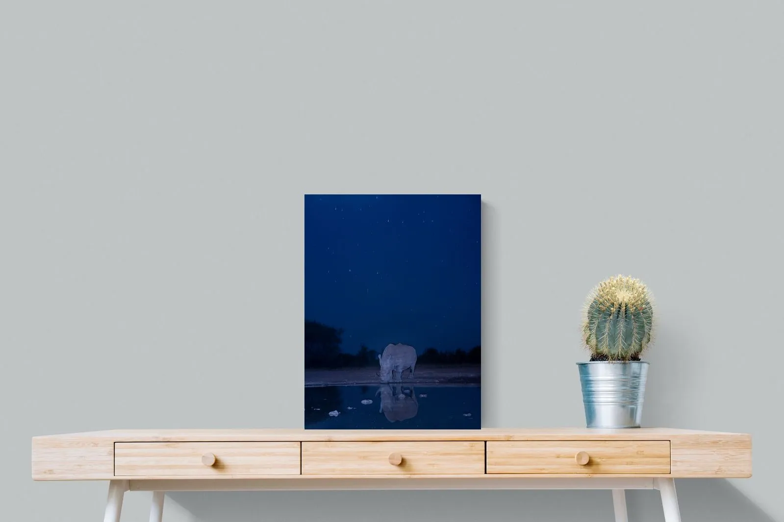 Nocturnal Reflections
