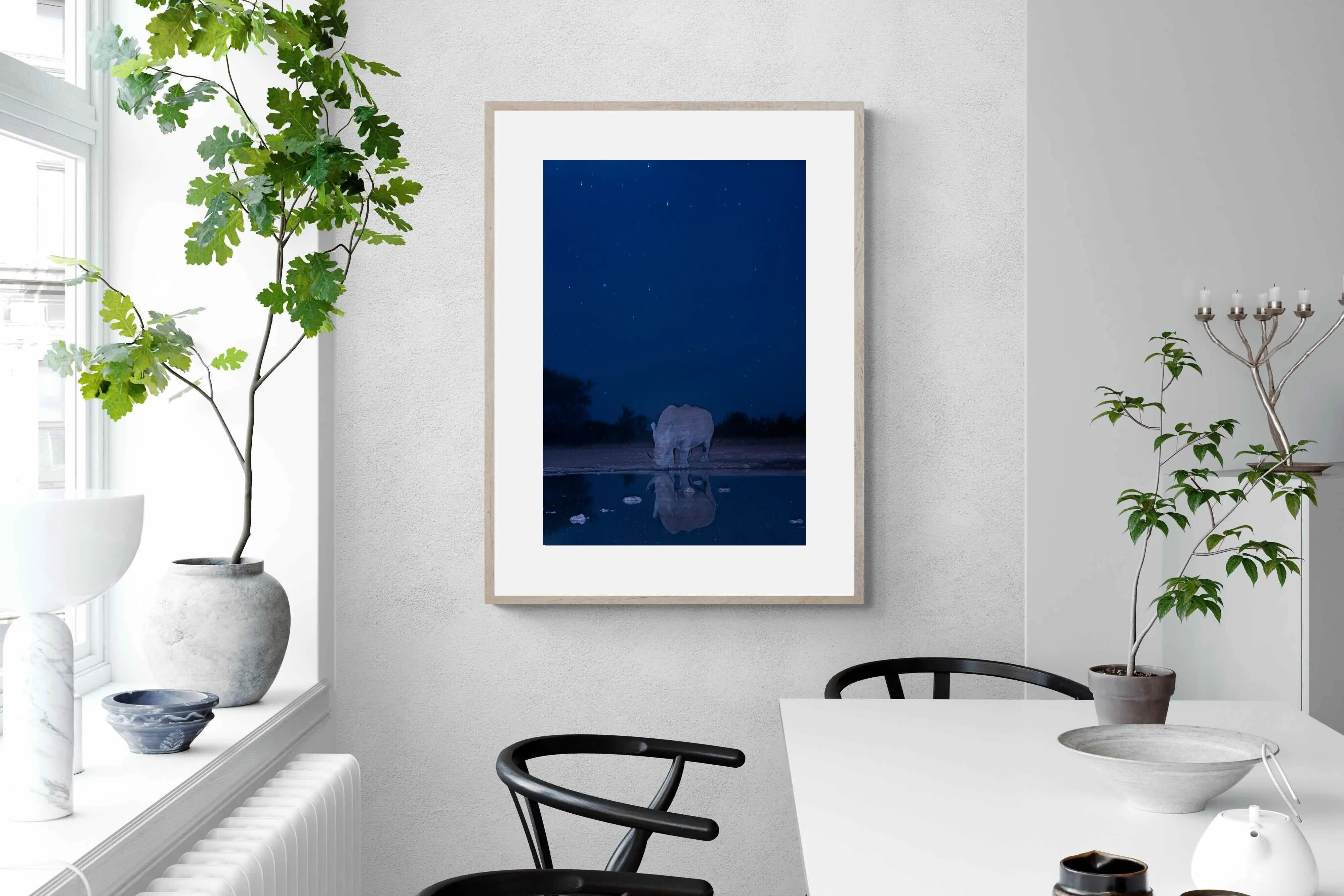 Nocturnal Reflections