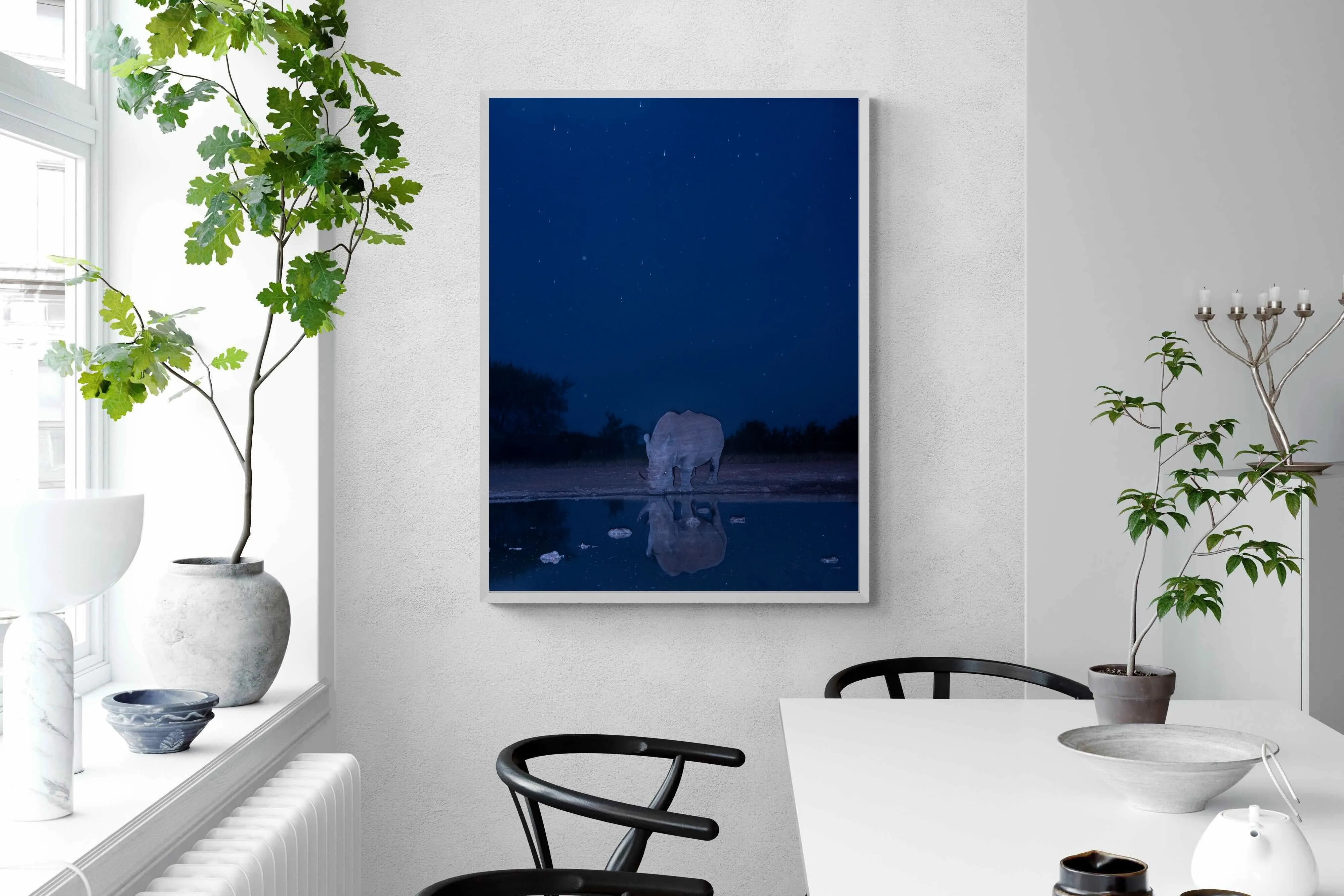 Nocturnal Reflections