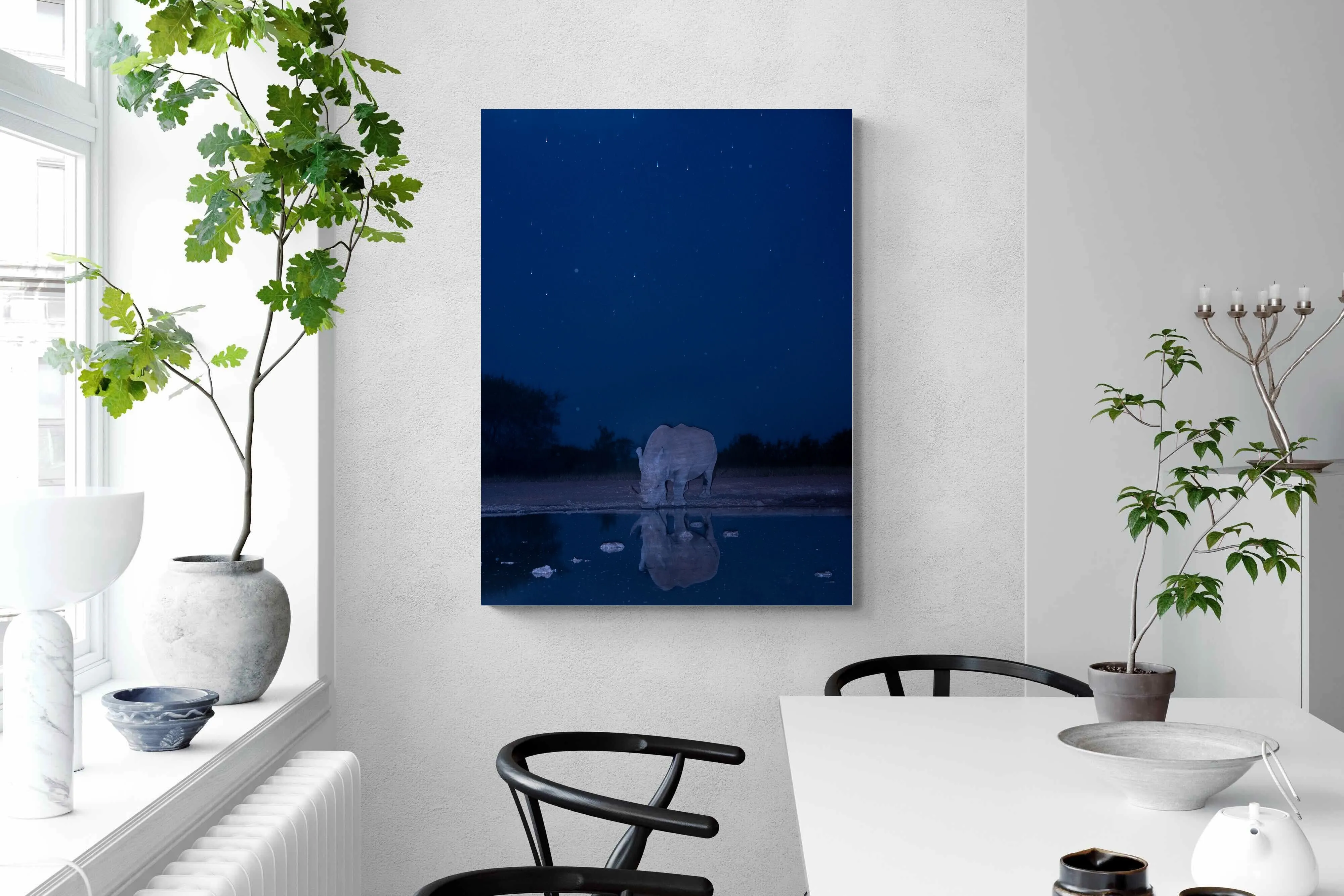 Nocturnal Reflections