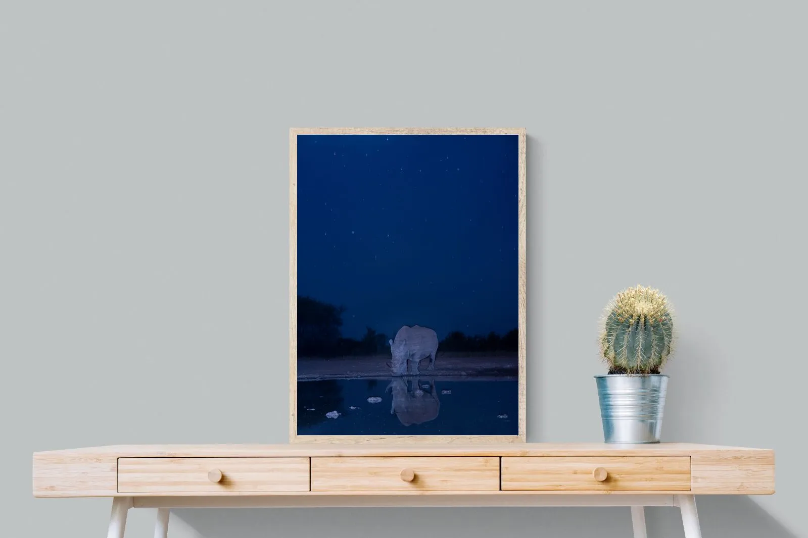 Nocturnal Reflections