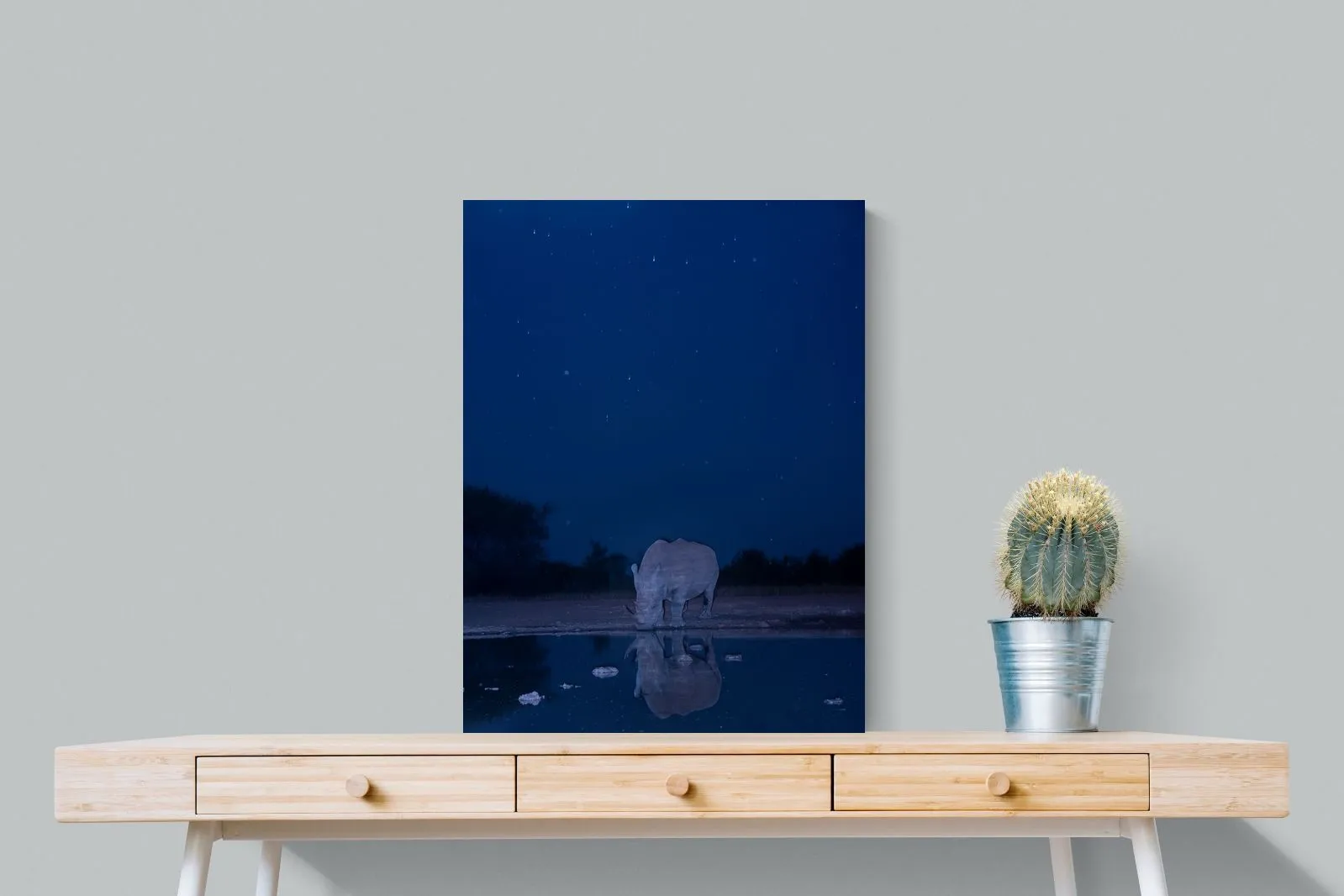 Nocturnal Reflections