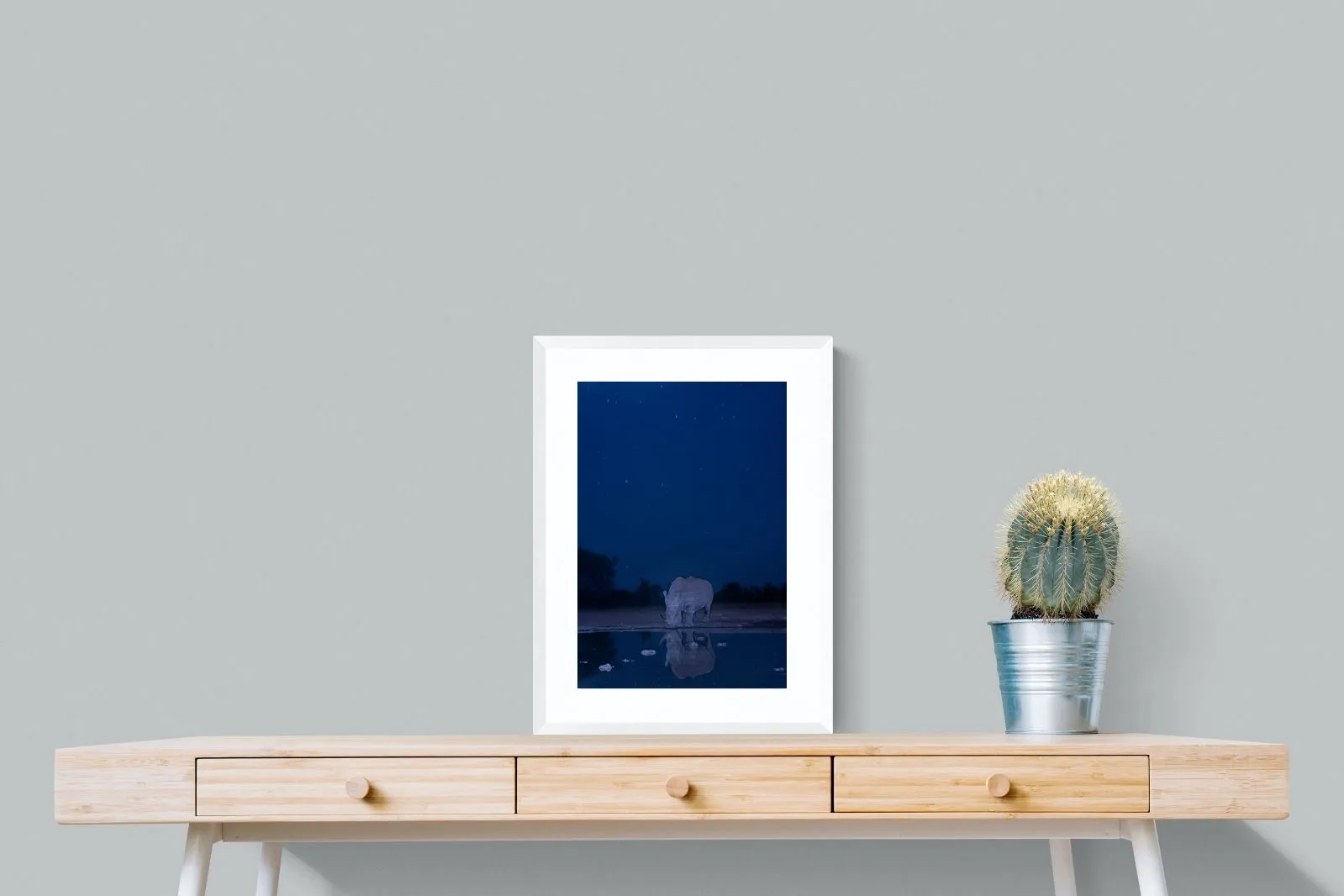 Nocturnal Reflections