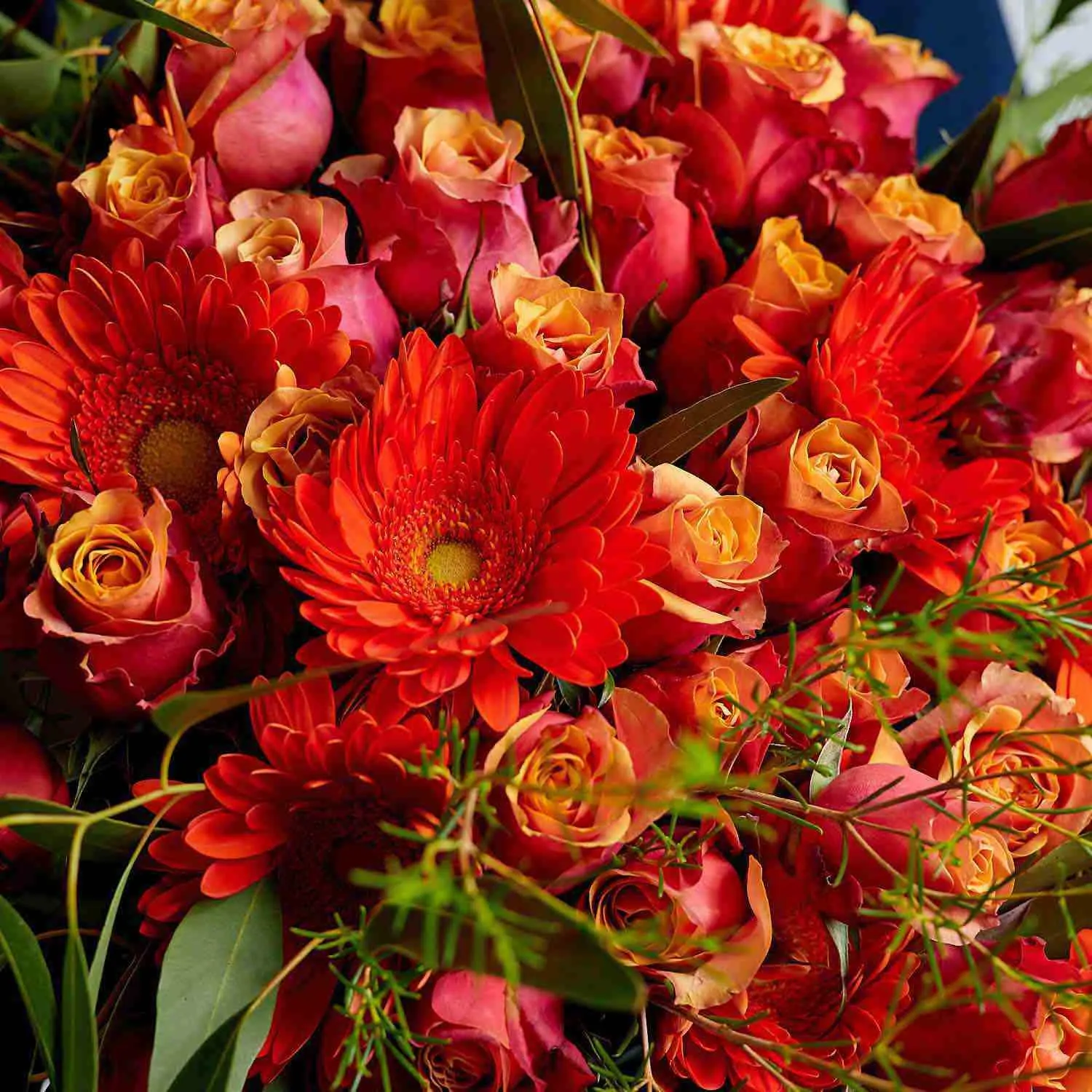 Solar Flare Bouquet