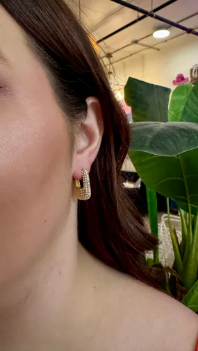 Terica Rhinestone & Gold Rectangle Earrings